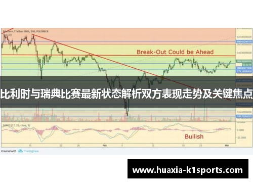 比利时与瑞典比赛最新状态解析双方表现走势及关键焦点